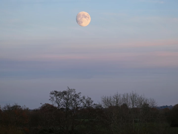 Winter Moon