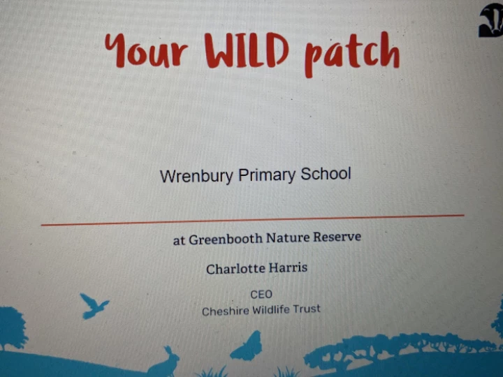 Our Wild Patch