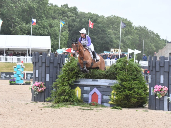 Bolesworth 1