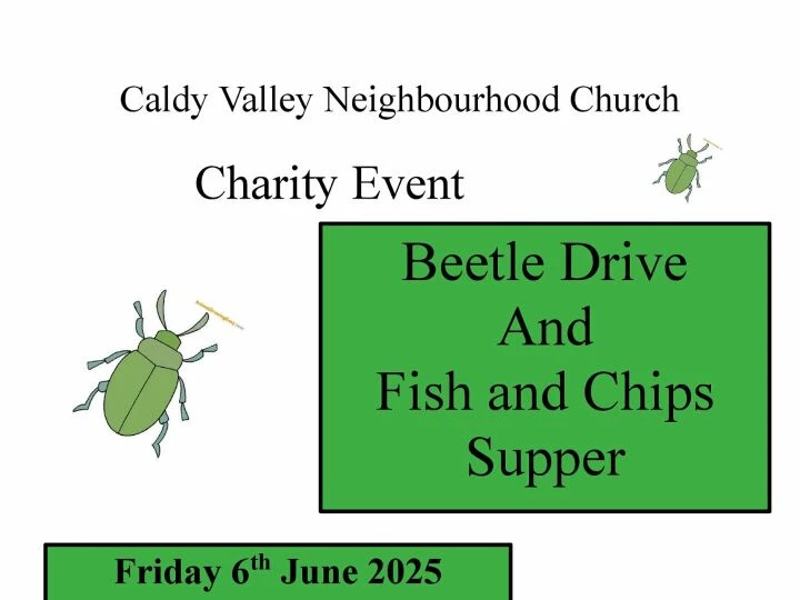 Beetle Drive