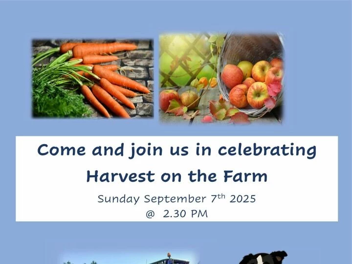 Harvest on the Farm