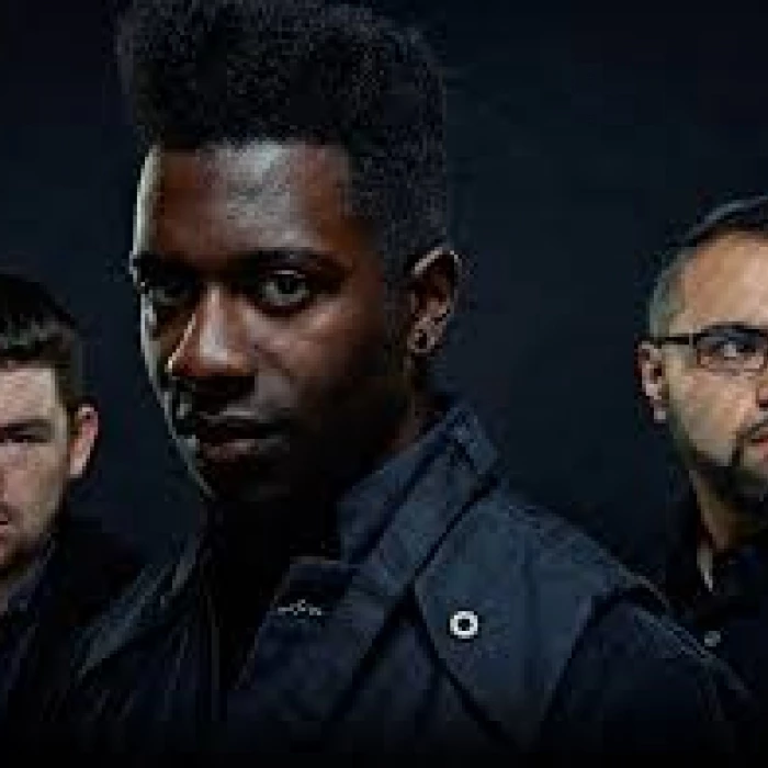 Animals as leaders