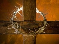 Easter_Crown of Thorns 06
