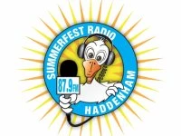 Summerfest Radio Duck