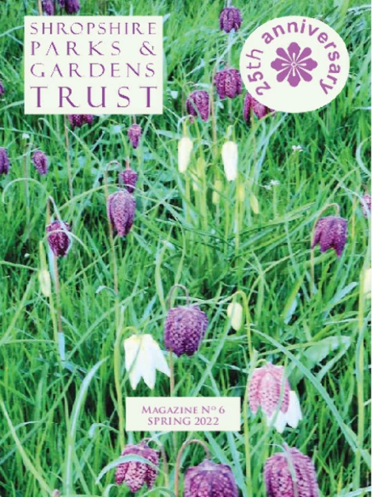 SPGT Magazine No. 6 – Spring 2022