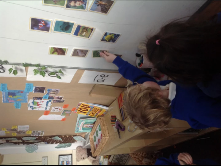 Science Sorting