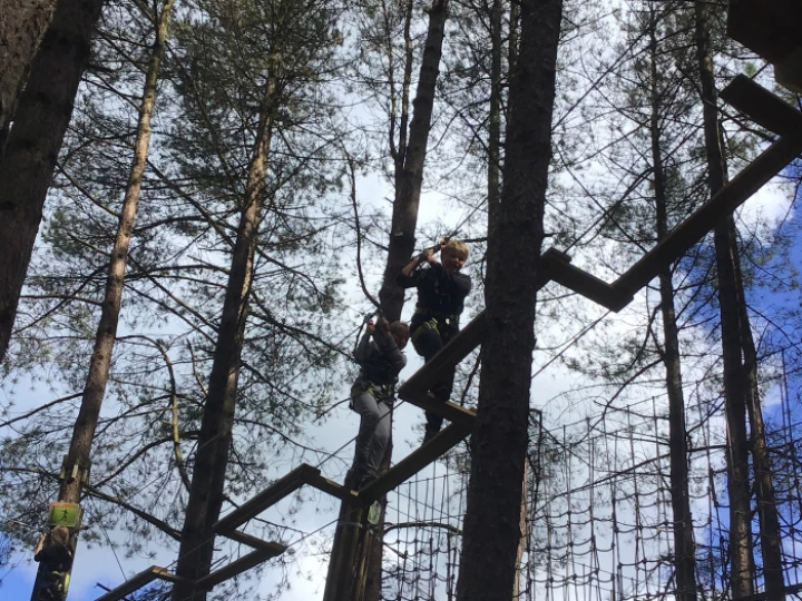 Go Ape