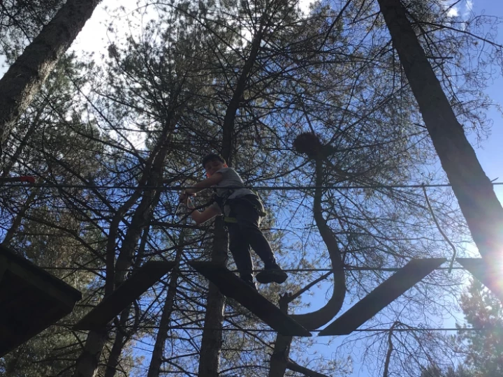 Go Ape