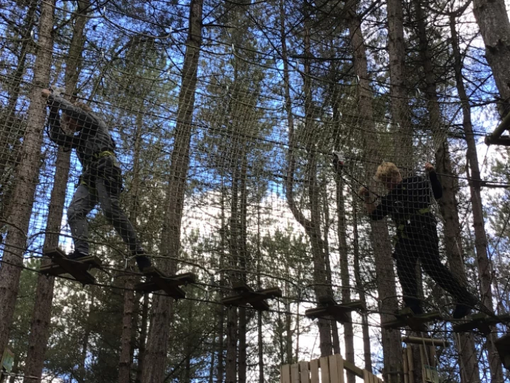 Go Ape