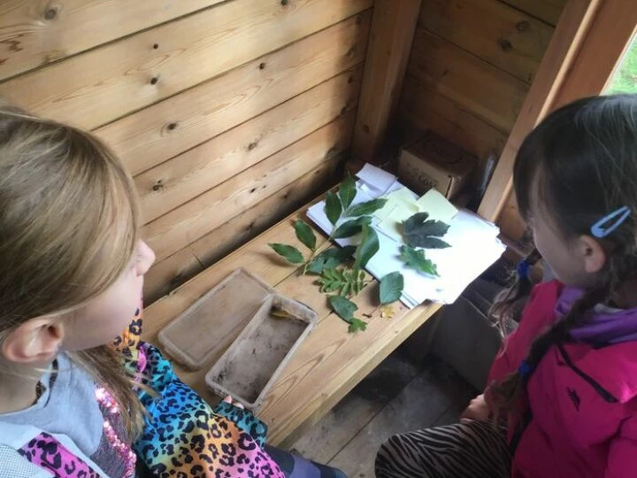 Forest school