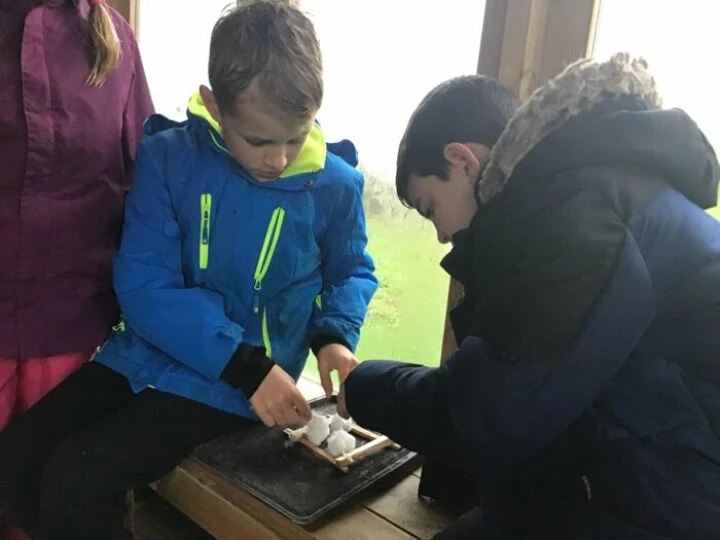 Forest school 3