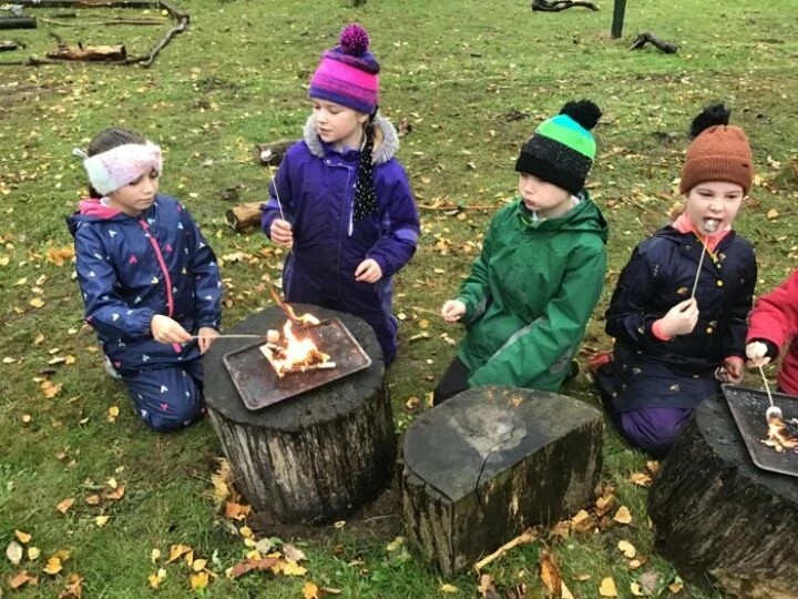 Forest school 5