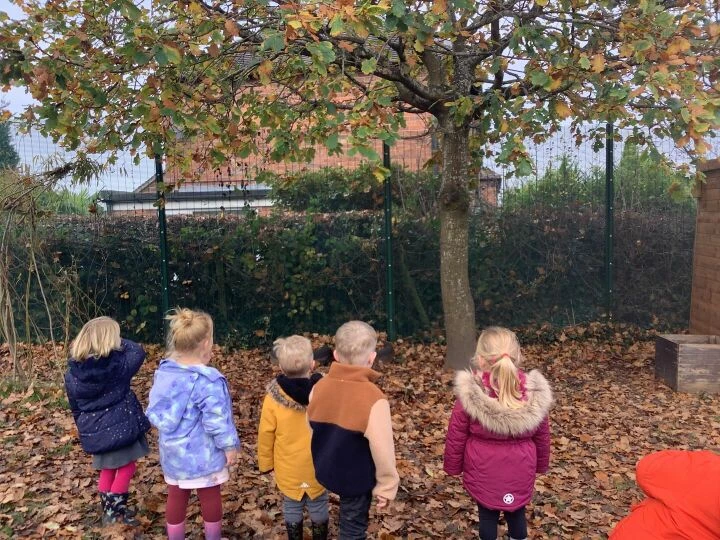 15.11