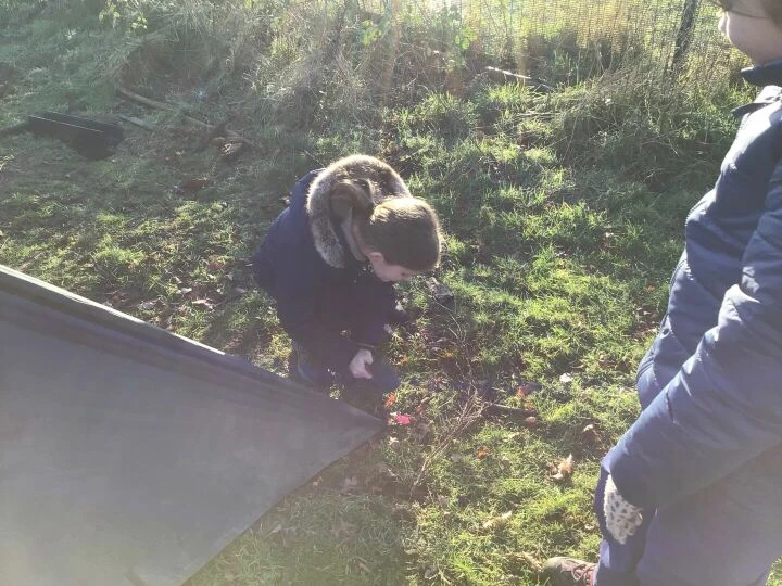 Forest schools history