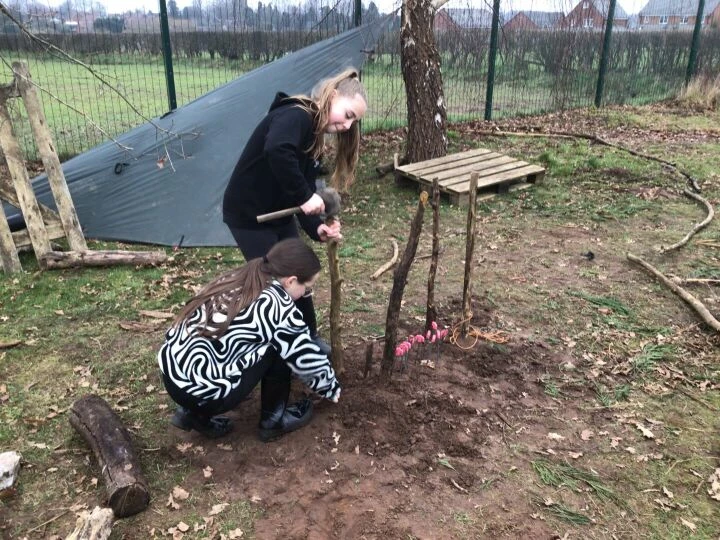 Forest schools