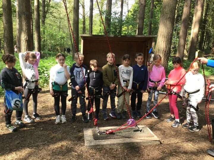 PGL 6