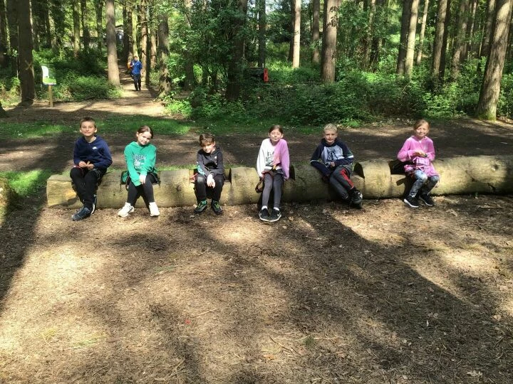 PGL 11