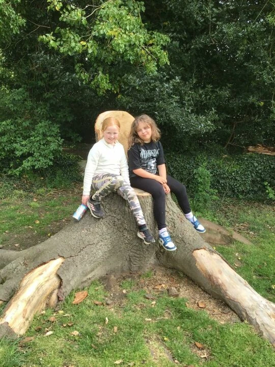 PGL 15