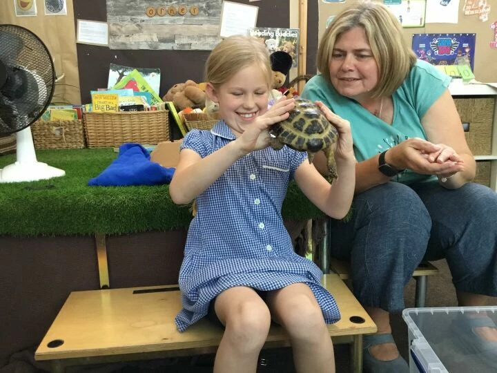 Tortoise