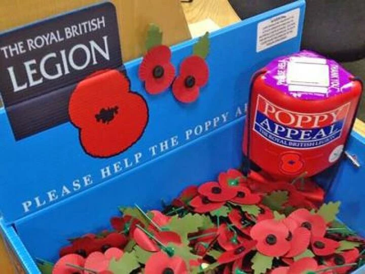 Poppy Appeal Collectors 02