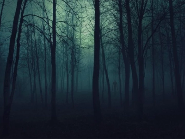 Scary Woods