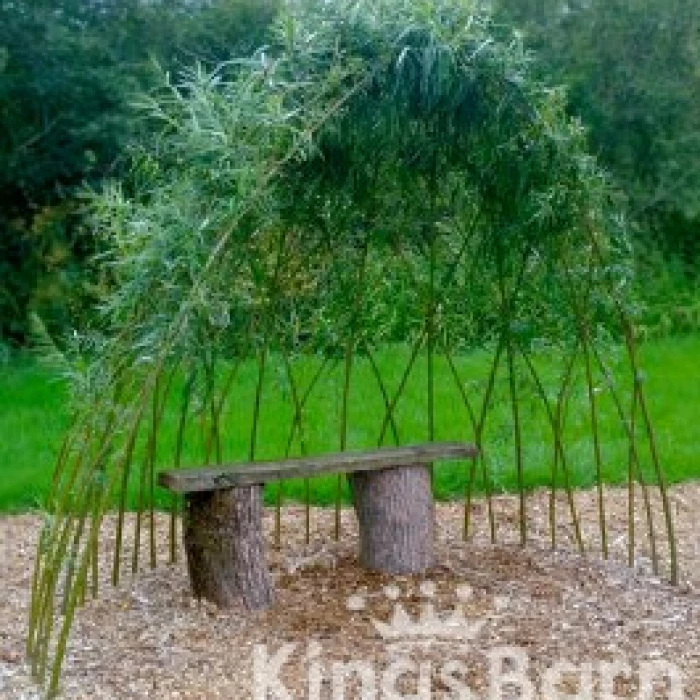 Willow Arbour