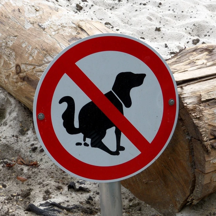 Prohibitory, sandpit, dog