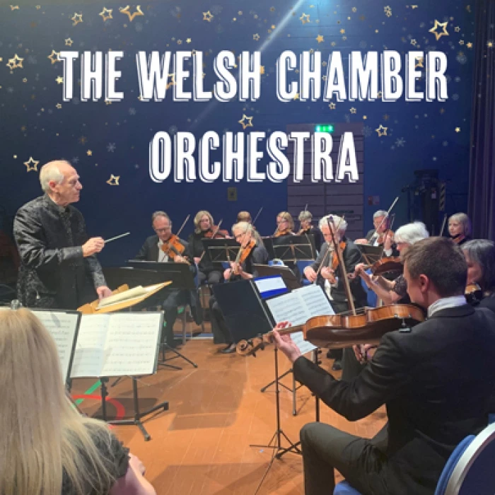 The Welsh Chamber Orchestra