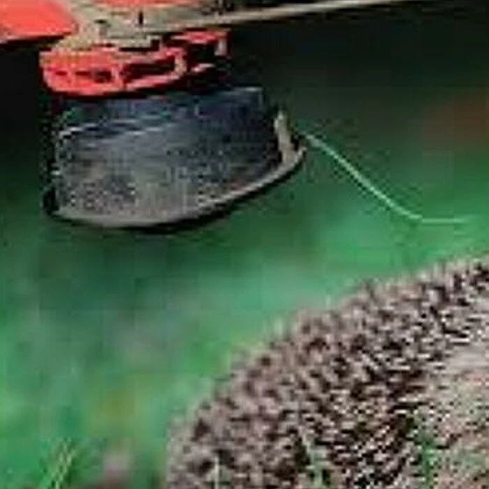 Hedgehog vs trimmer