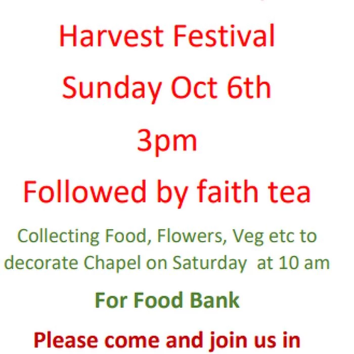 Witton Park Harvest Festival Oct 2024