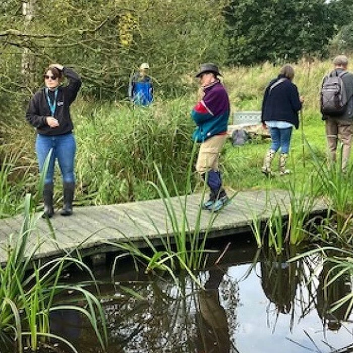 Beaver Walk 1