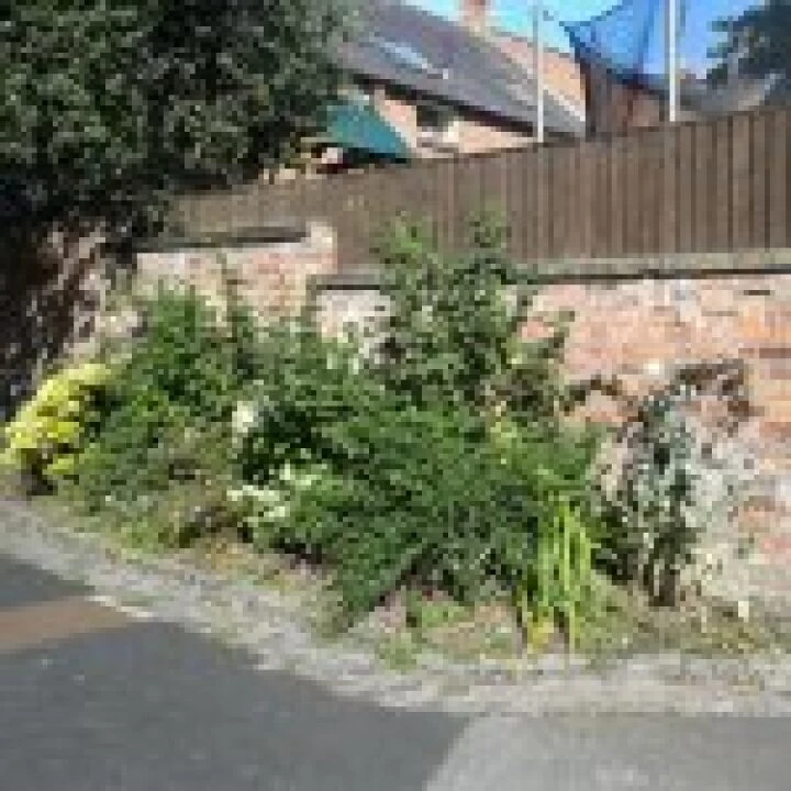 Wells Cottages Garden
