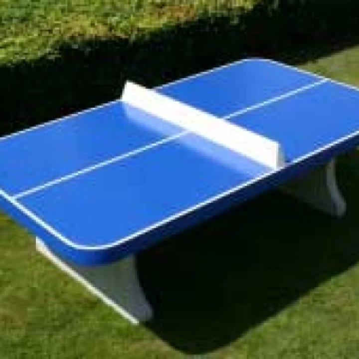 table tennis table 1