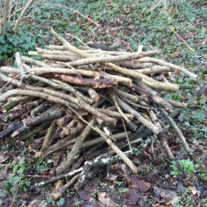 Habitat Piles