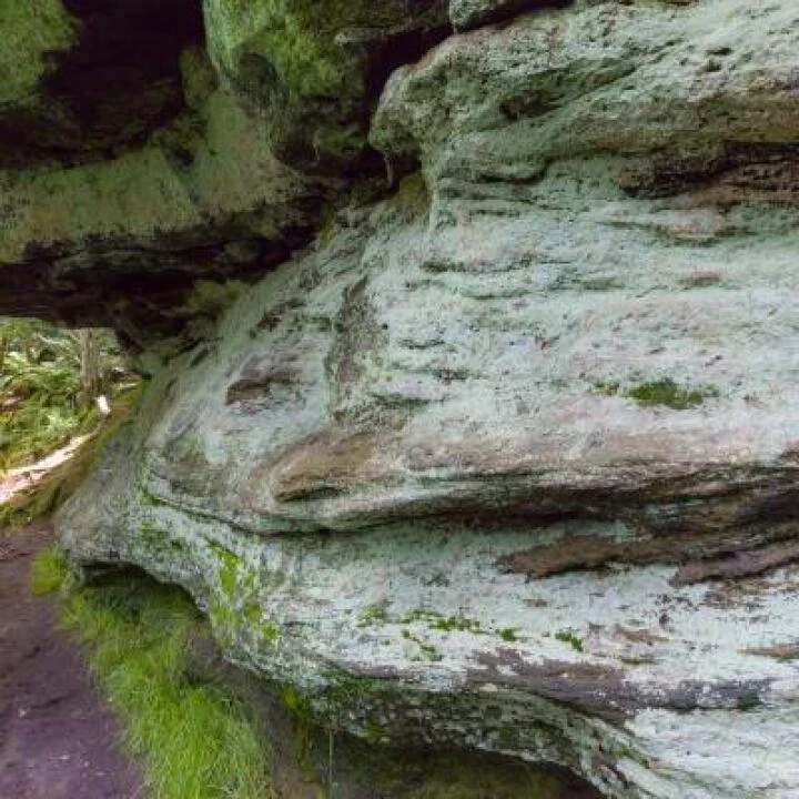 Sandstone Geology on Bickerton Hill