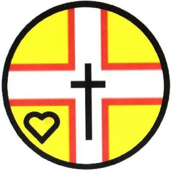 dsw logo