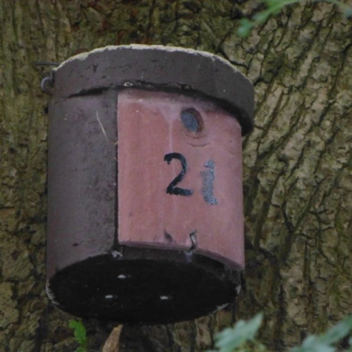 Woodcrete Bird Box