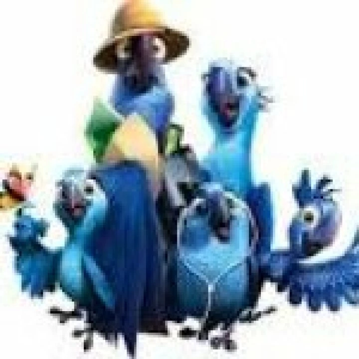 Rio 2