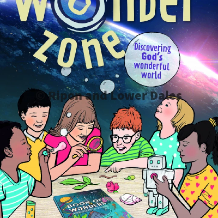 Wonder Zone poster