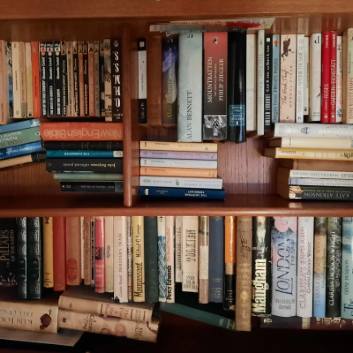 SAWG Bookcase 20230124_163014