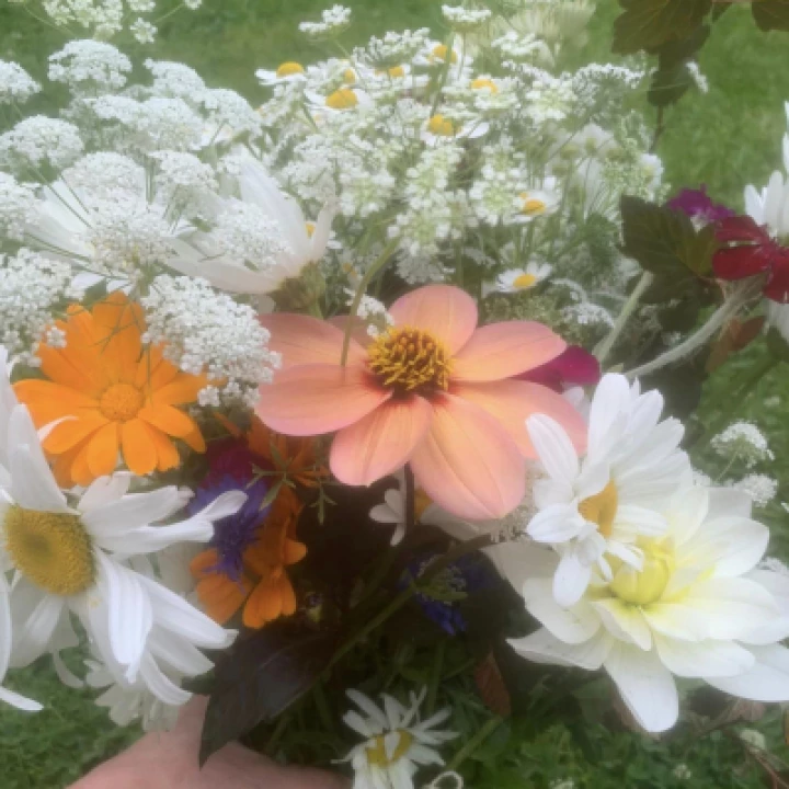 Bunch Flowers