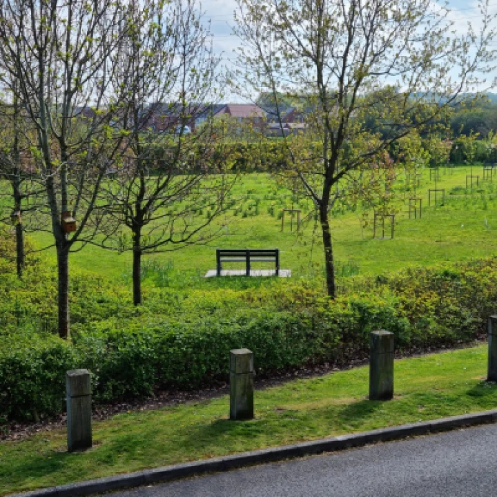 Jubilee Forest 3