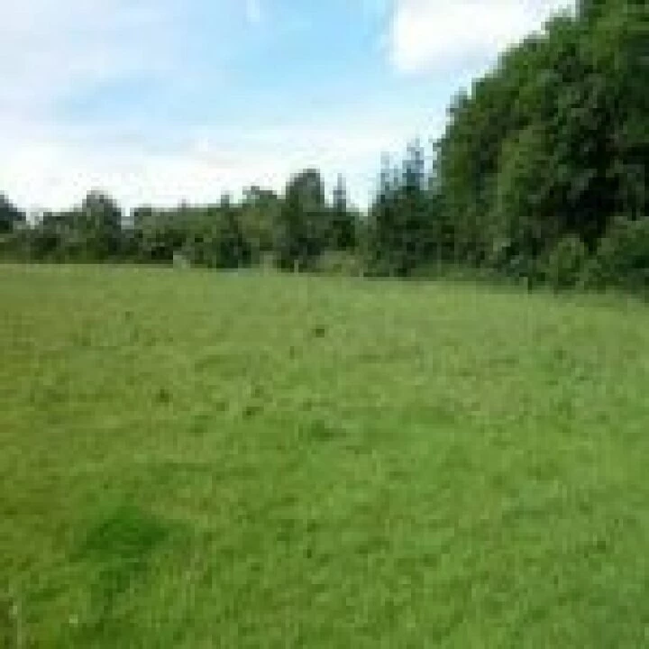 green belt land