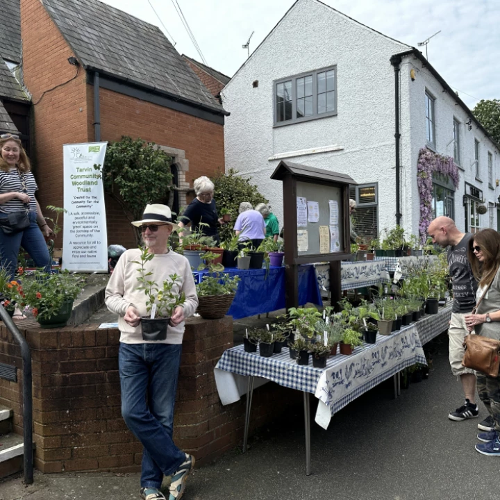 Plant Sale 6
