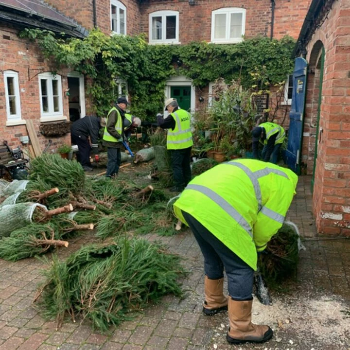 Christmas Tree Prep