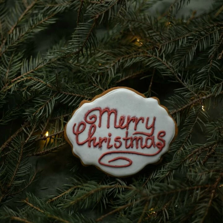 From above of delicious biscuit with decorative title on sugar glaze between coniferous tree sprigs with garland on Christmas Day