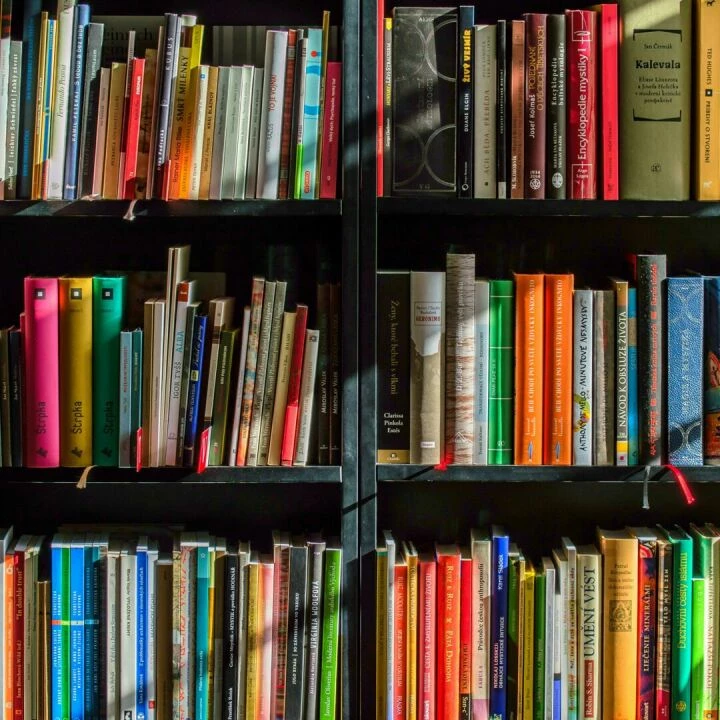 Vibrant collection of books on shelves for reading, research, and education.