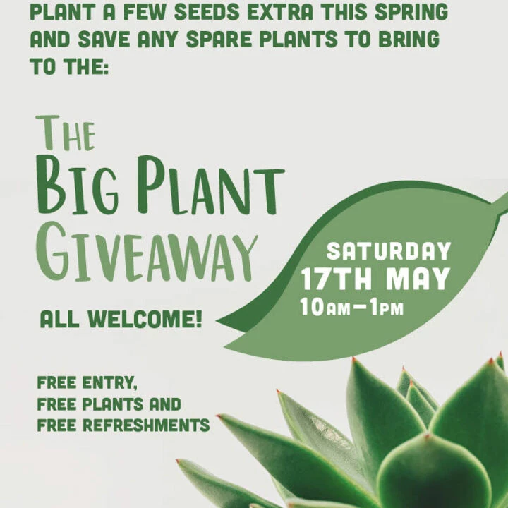 Big Plant Giveaway 2025 Coming Soon