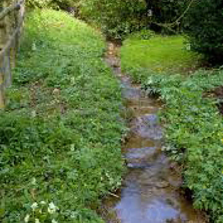 Stream Through Garden