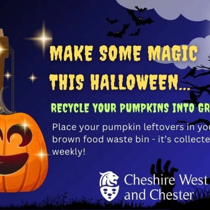 Recycle Pumpkins